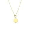 Stalen goldplated ketting disc (1064703)