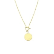 Stalen goldplated ketting disc (1064703)